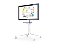 Large Format Displays